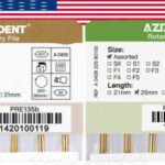 File Rotary Azdent 25mm